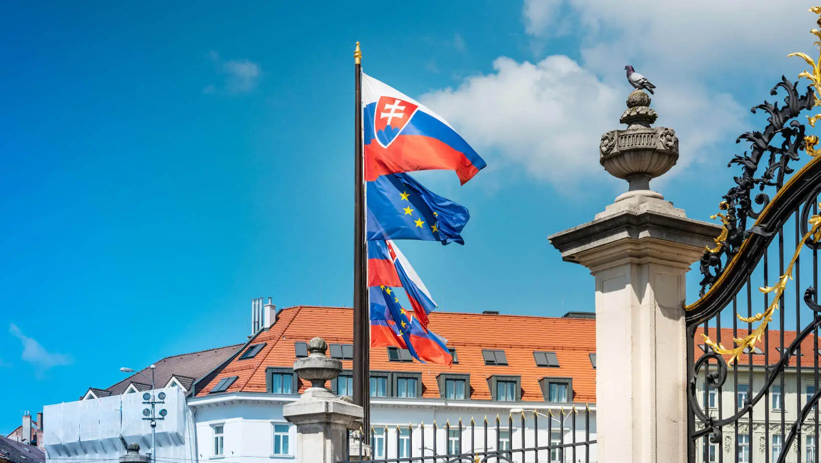 https://academy.slovakstudy.com/wp-content/uploads/dizai-n_bez_nazvanija_49-_kopija_2.webp